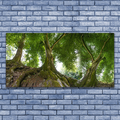 Druck auf Glas Bäume Natur