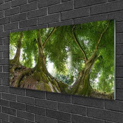 Druck auf Glas Bäume Natur