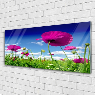 Druck auf Glas Wiese Blumen Natur