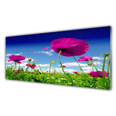 Druck auf Glas Wiese Blumen Natur