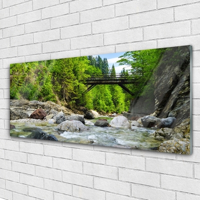 Druck auf Glas Wald Brücke See Steine Landschaft