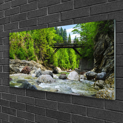 Druck auf Glas Wald Brücke See Steine Landschaft
