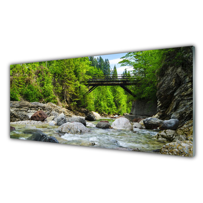 Druck auf Glas Wald Brücke See Steine Landschaft