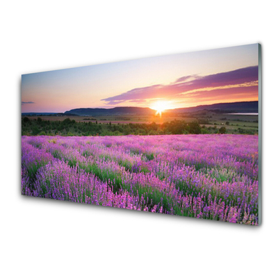 Druck auf Glas Sonne Wiese Blumen Natur