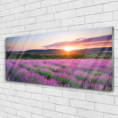 Druck auf Glas Sonne Wiese Blumen Natur