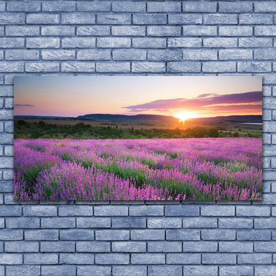 Druck auf Glas Sonne Wiese Blumen Natur