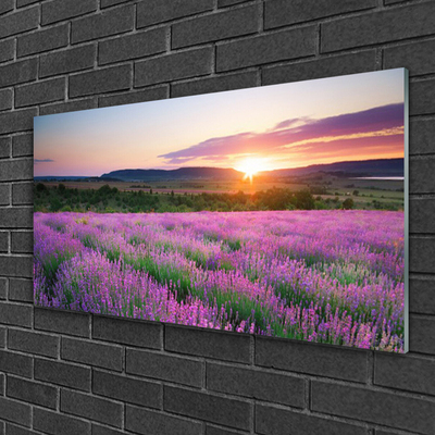 Druck auf Glas Sonne Wiese Blumen Natur