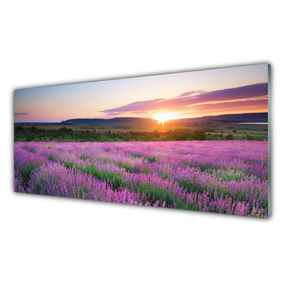 Druck auf Glas Sonne Wiese Blumen Natur