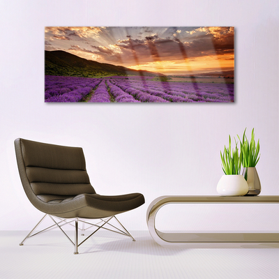 Druck auf Glas Gebirge Wiese Blumen Landschaft