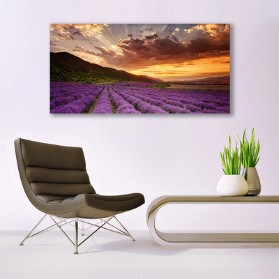 Druck auf Glas Gebirge Wiese Blumen Landschaft