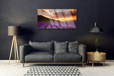 Druck auf Glas Gebirge Wiese Blumen Landschaft