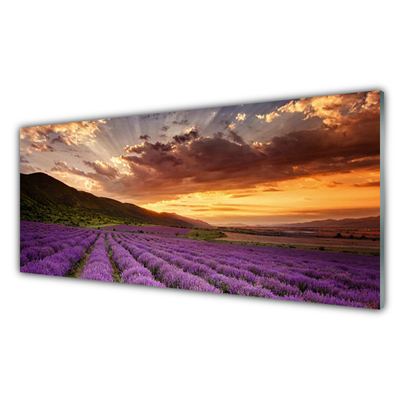 Druck auf Glas Gebirge Wiese Blumen Landschaft