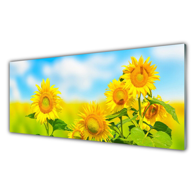 Druck auf Glas Sonnenblumen Pflanzen