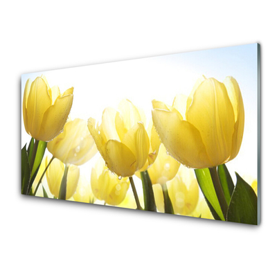 Druck auf Glas Tulpen Pflanzen