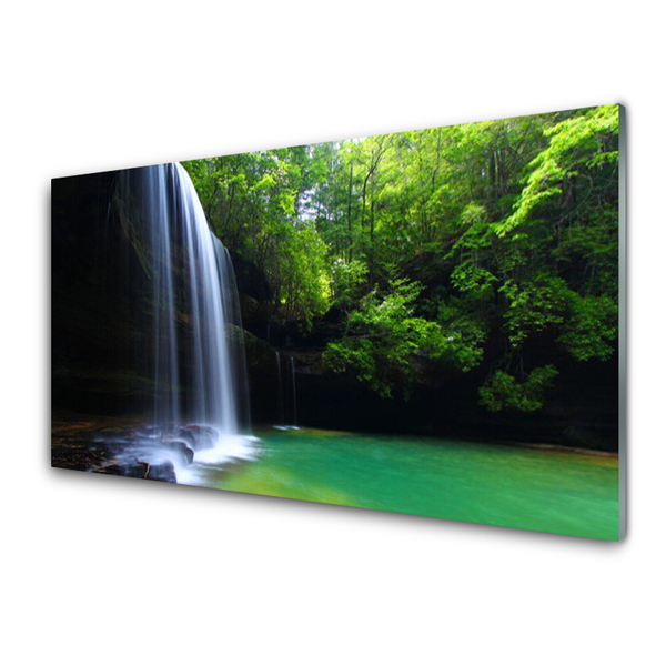 Druck auf Glas Wasserfall Wald Natur