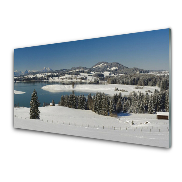 Druck auf Glas Schnee See Wald Landschaft