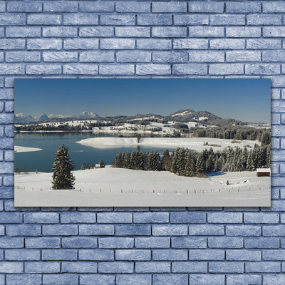 Druck auf Glas Schnee See Wald Landschaft