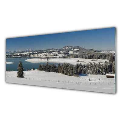 Druck auf Glas Schnee See Wald Landschaft