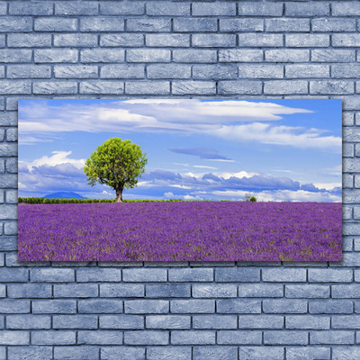 Druck auf Glas Wiese Baum Natur