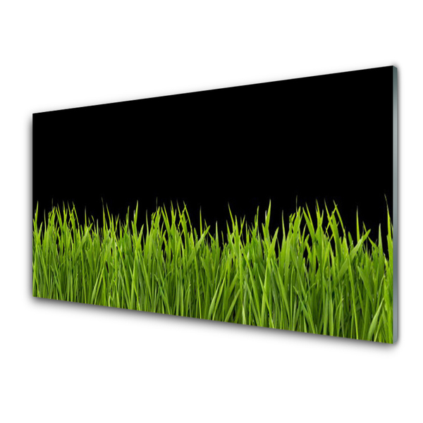 Druck auf Glas Gras Natur
