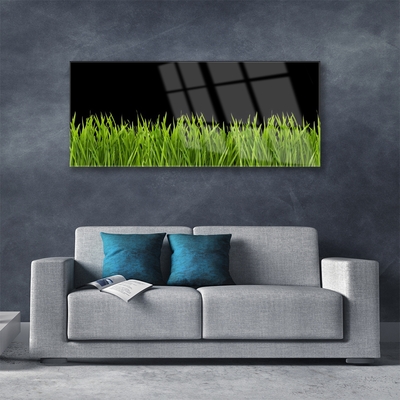 Druck auf Glas Gras Natur