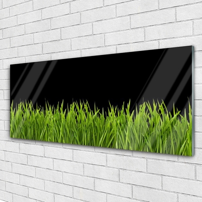 Druck auf Glas Gras Natur