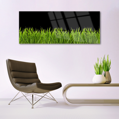Druck auf Glas Gras Natur