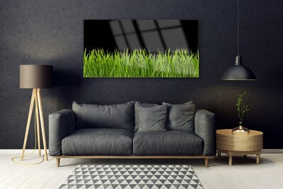 Druck auf Glas Gras Natur