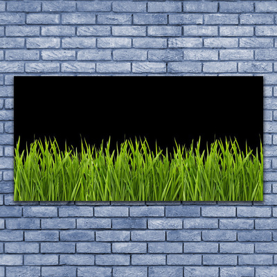 Druck auf Glas Gras Natur