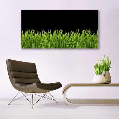 Druck auf Glas Gras Natur