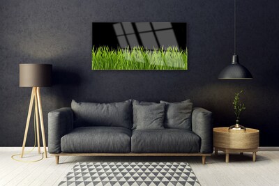 Druck auf Glas Gras Natur