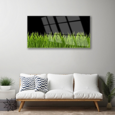 Druck auf Glas Gras Natur