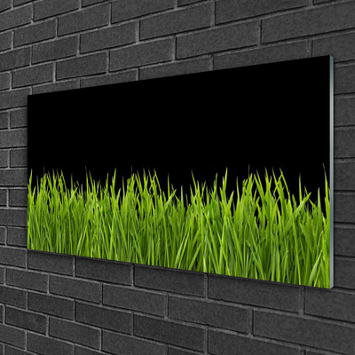 Druck auf Glas Gras Natur