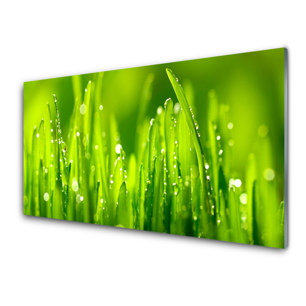 Druck auf Glas Gras Natur