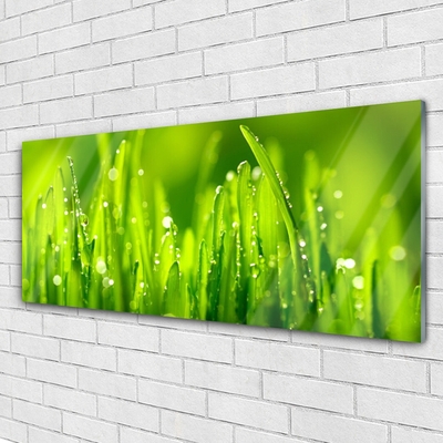 Druck auf Glas Gras Natur