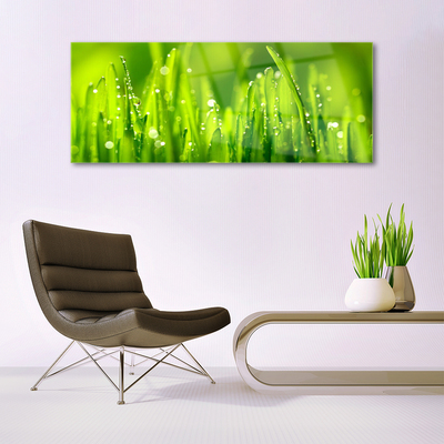 Druck auf Glas Gras Natur