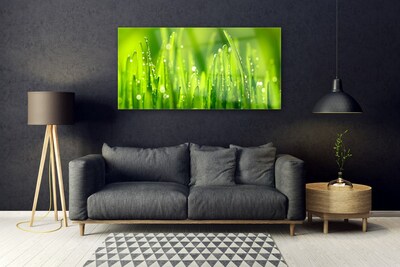 Druck auf Glas Gras Natur