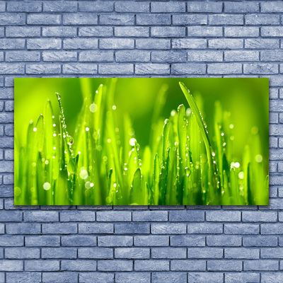 Druck auf Glas Gras Natur
