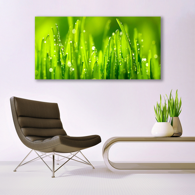 Druck auf Glas Gras Natur