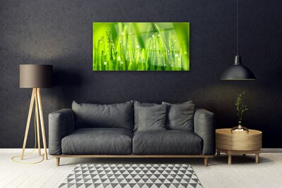 Druck auf Glas Gras Natur