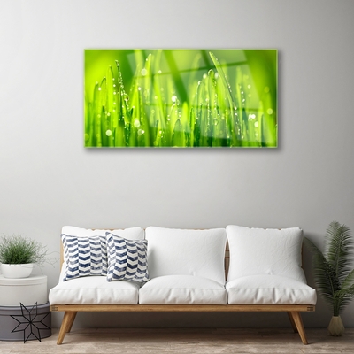Druck auf Glas Gras Natur