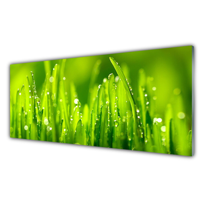 Druck auf Glas Gras Natur