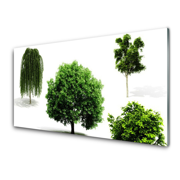 Druck auf Glas Bäume Natur