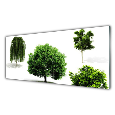 Druck auf Glas Bäume Natur
