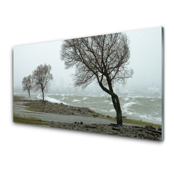 Druck auf Glas Bäume Natur