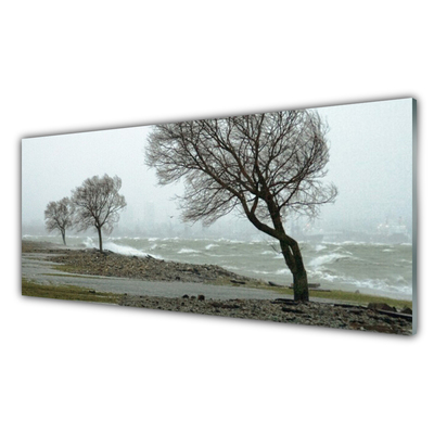 Druck auf Glas Bäume Natur