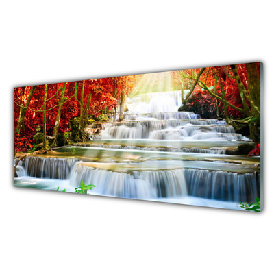 Druck auf Glas Wasserfall Wald Natur