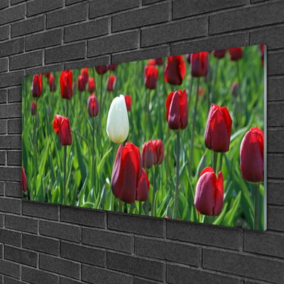 Druck auf Glas Tulpen Pflanzen