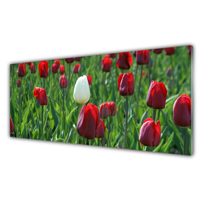 Druck auf Glas Tulpen Pflanzen