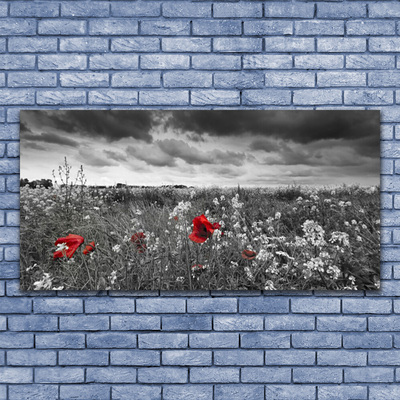 Druck auf Glas Wiese Blumen Natur